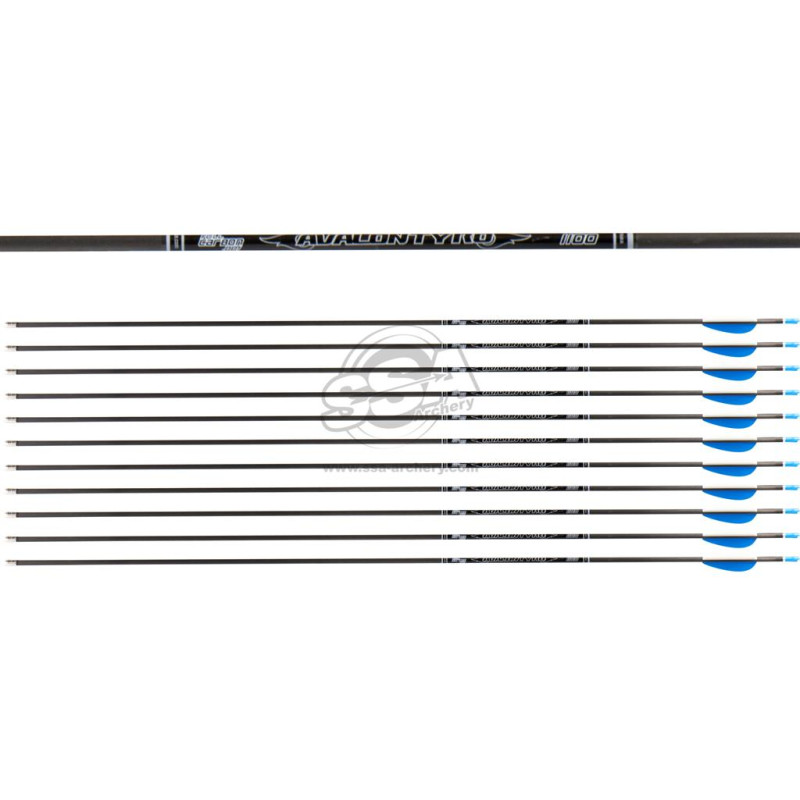AVALON ARROWS CARBON TYRO 4.2 1100 28" length / 2"VANES BLUE-WHITE /PIN NOCK /70GR POINT 200PK