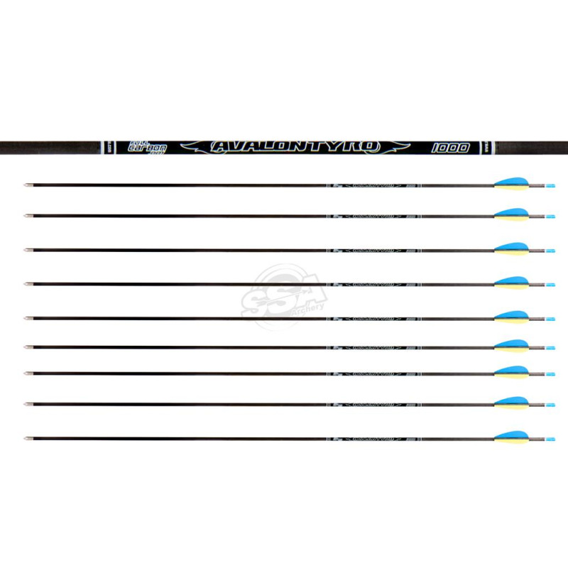 AVALON ARROWS CARBON TYRO 4.2 1000 29" length / 2"VANES BLUE-YELLOW /PIN NOCK /70GR POINT 200PK
