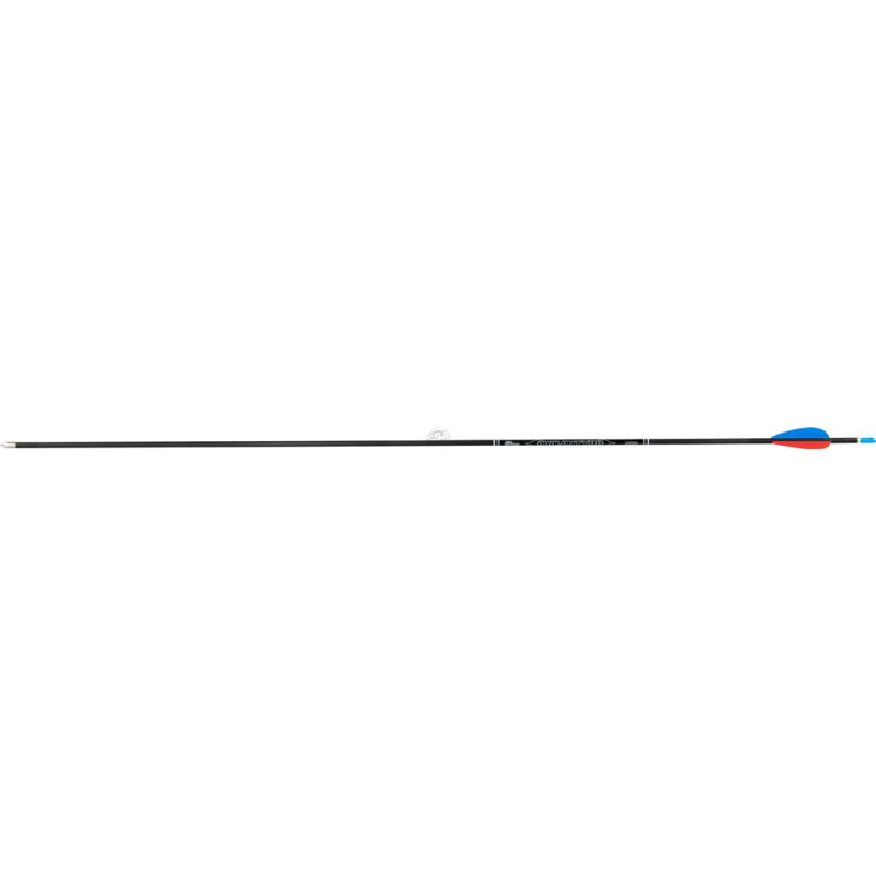 AVALON ARROWS CARBON TYRO 4.2 900 29" length / 2"VANES BLUE-RED /PIN NOCK /70GR POINT 200PK