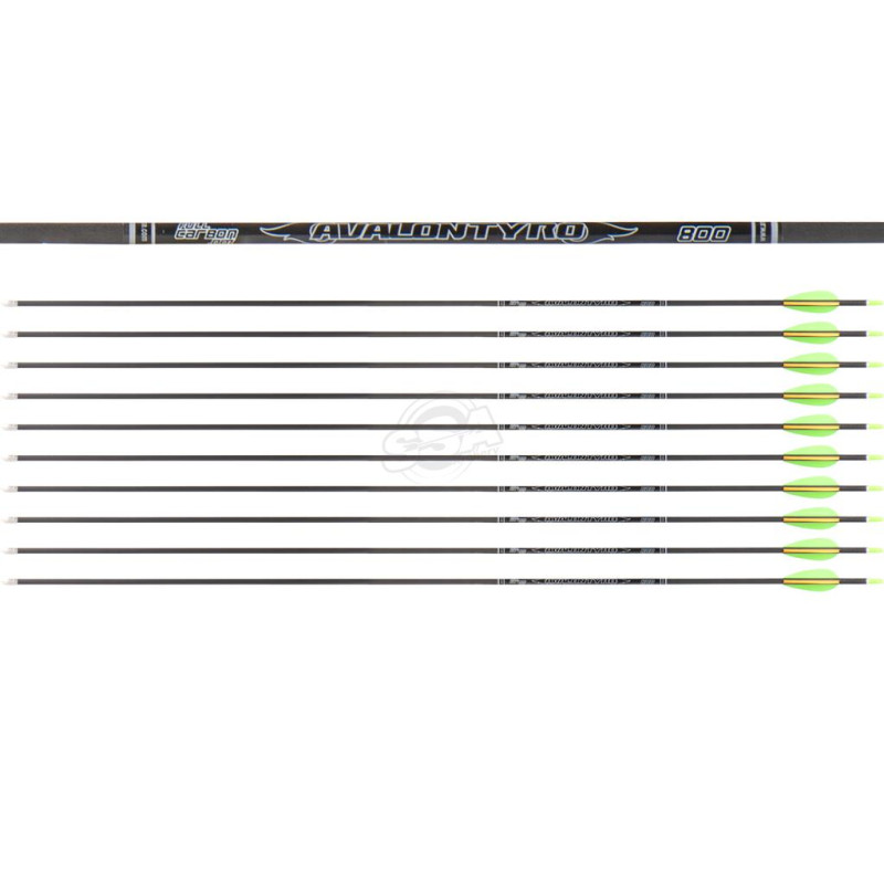 AVALON ARROWS CARBON TYRO 4.2 800 30" length / 2"VANES GREEN-ORANGE /PIN NOCK /90GR POINT 200PK
