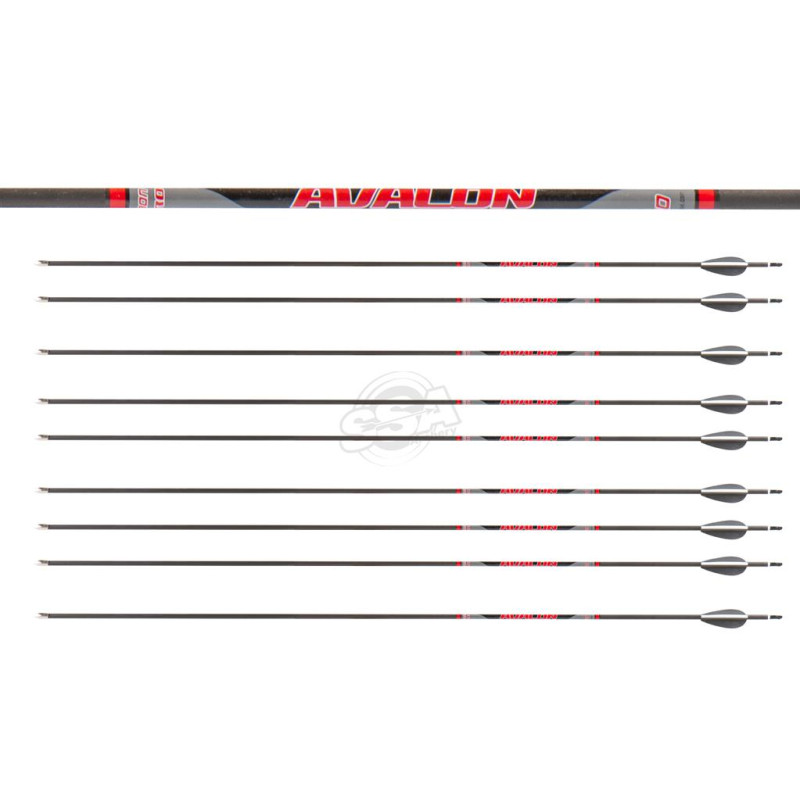 AVALON ARROWS CARBON TYRO 4.2 700 30" length / 2"VANES BLACK-WHITE /PIN NOCK /90GR POINT 200PK