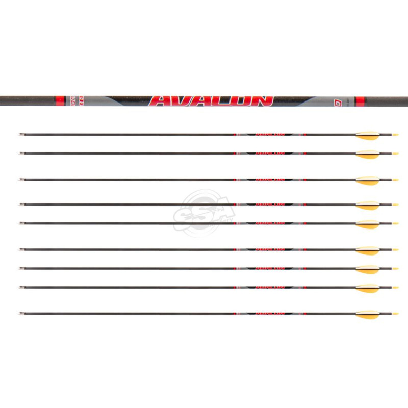 AVALON ARROWS CARBON TYRO 4.2 700 30" length/ 2"VANES SUNSET GOLD-WHITE /PIN NOCK/90GR POINT 200PK