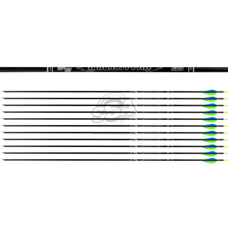AVALON ARROWS CARBON TYRO 4.2 600 31" length / 2"VANES GREEN-BLUE /PIN NOCK /90GR POINT 200PK